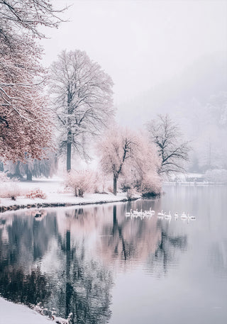 Zwanen op een wintermeer poster