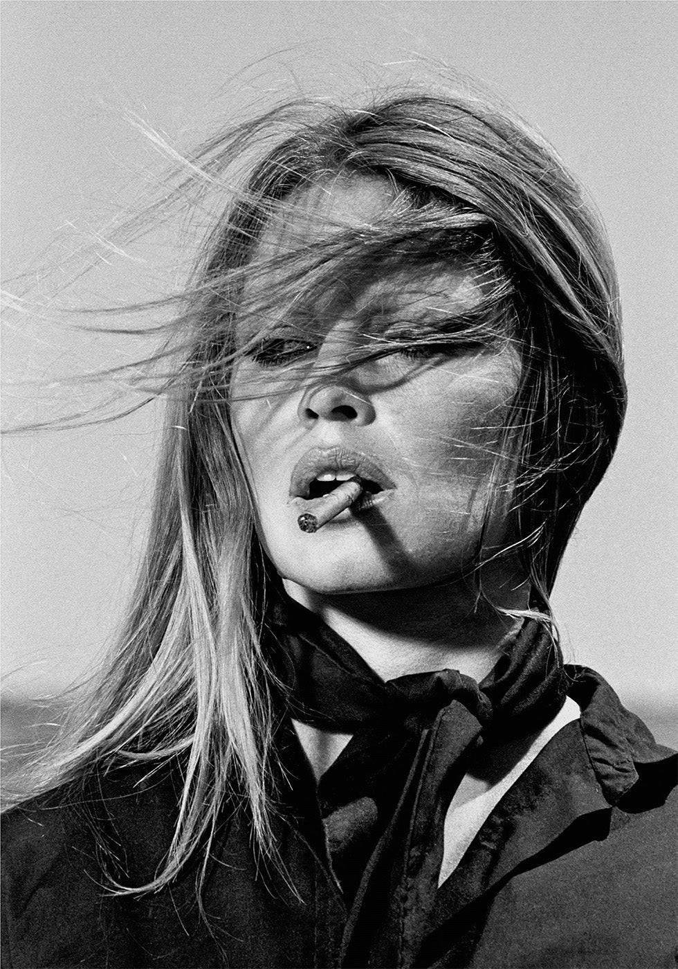 Brigitte Bardot Iconic Style Poster