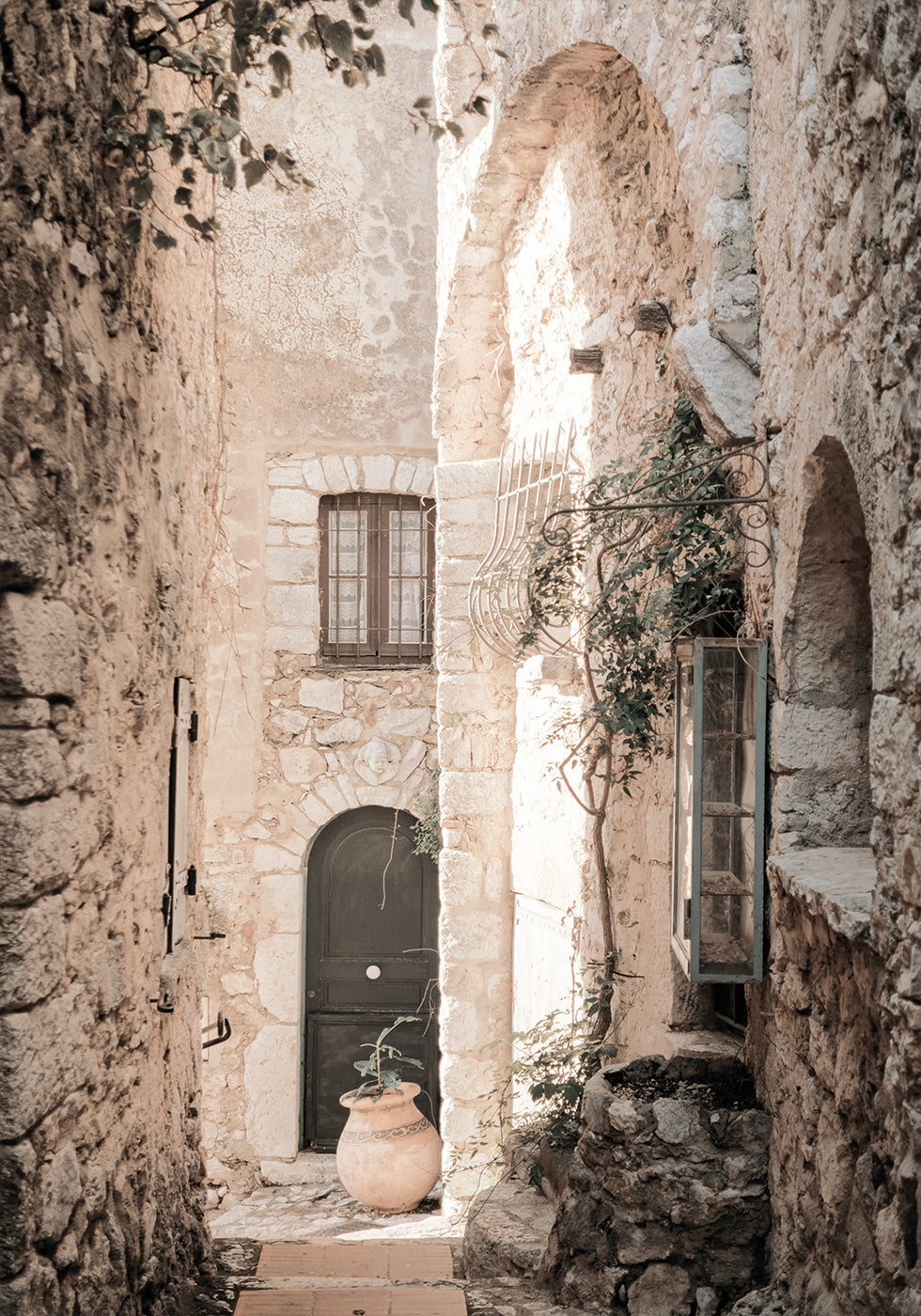 a narrow alley way with a potted plant on the side