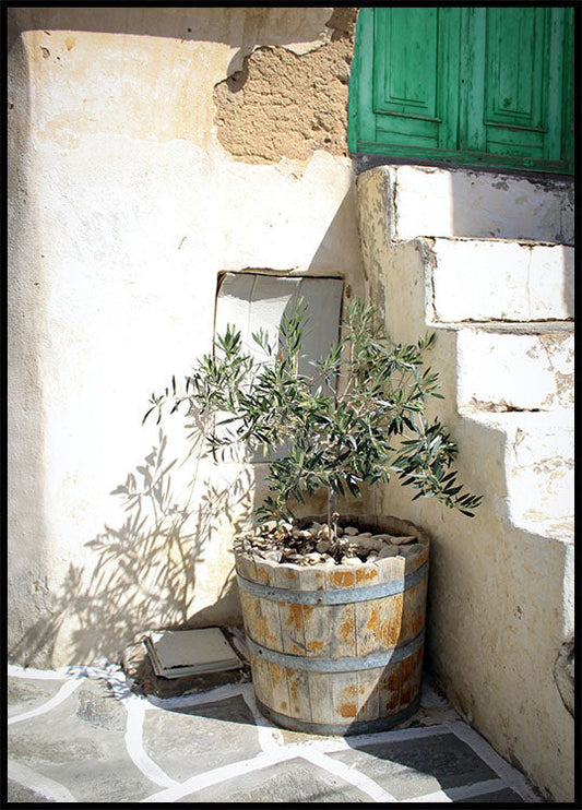 Olive Tree Entrance Plakat - Posterbox.no