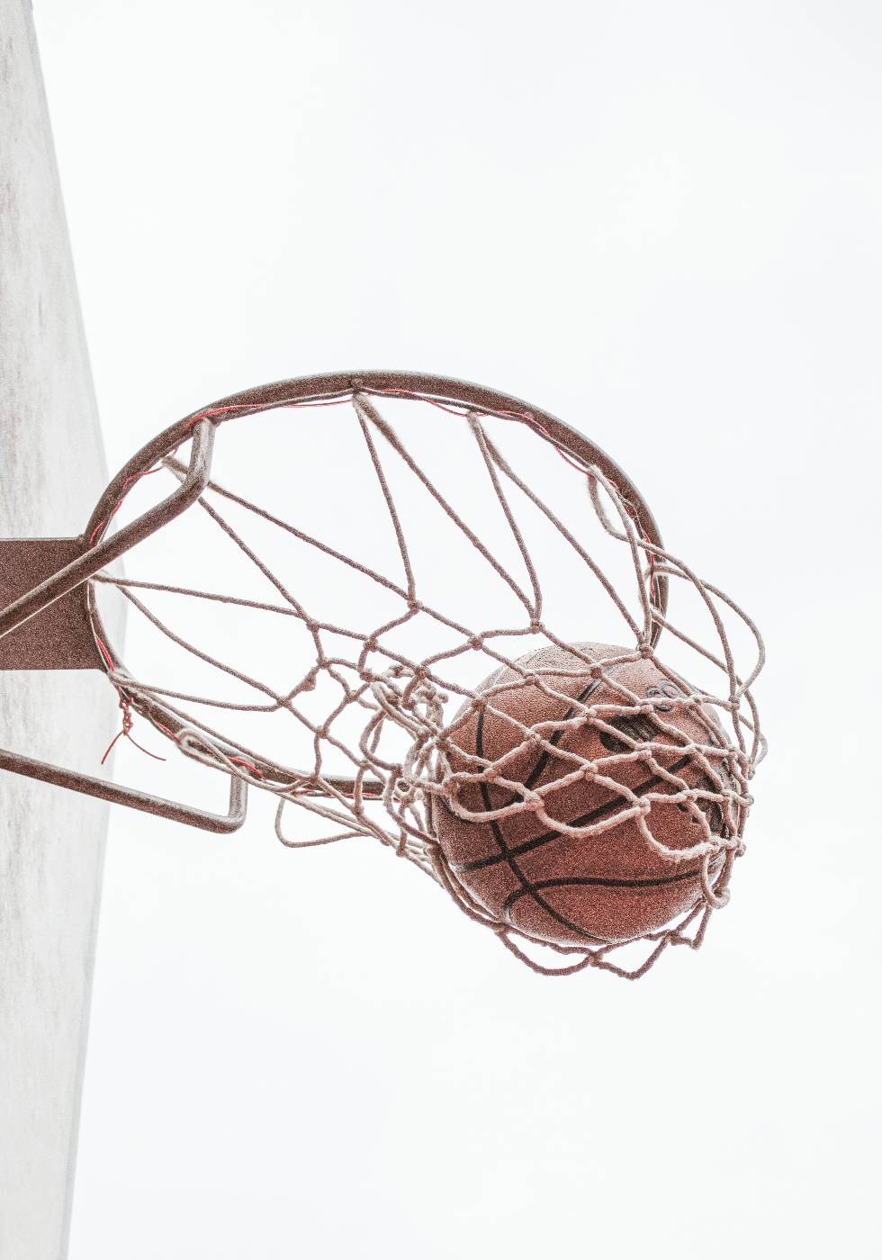 Basketball in Motion Poster - Posterbox.art