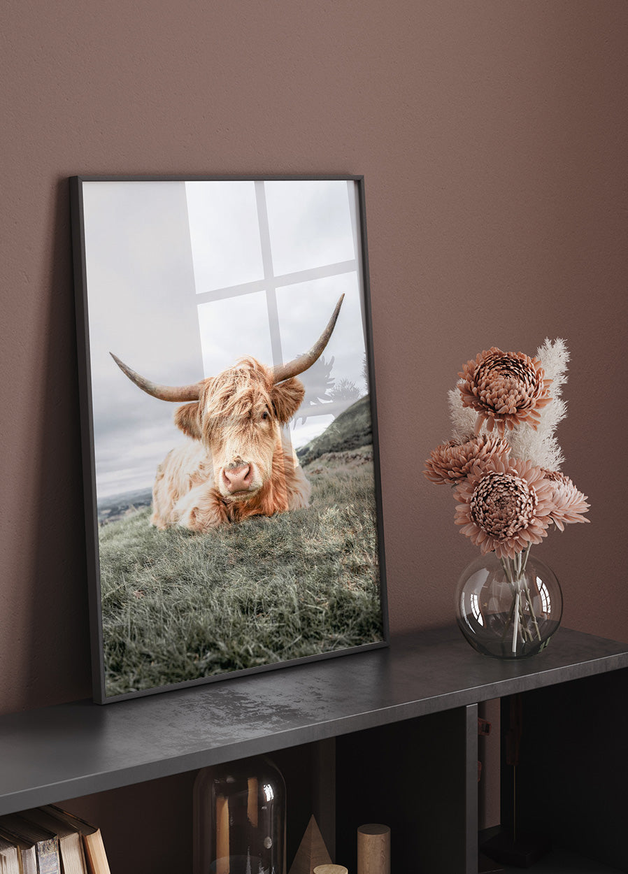 Highland Cow Relaxing Poster