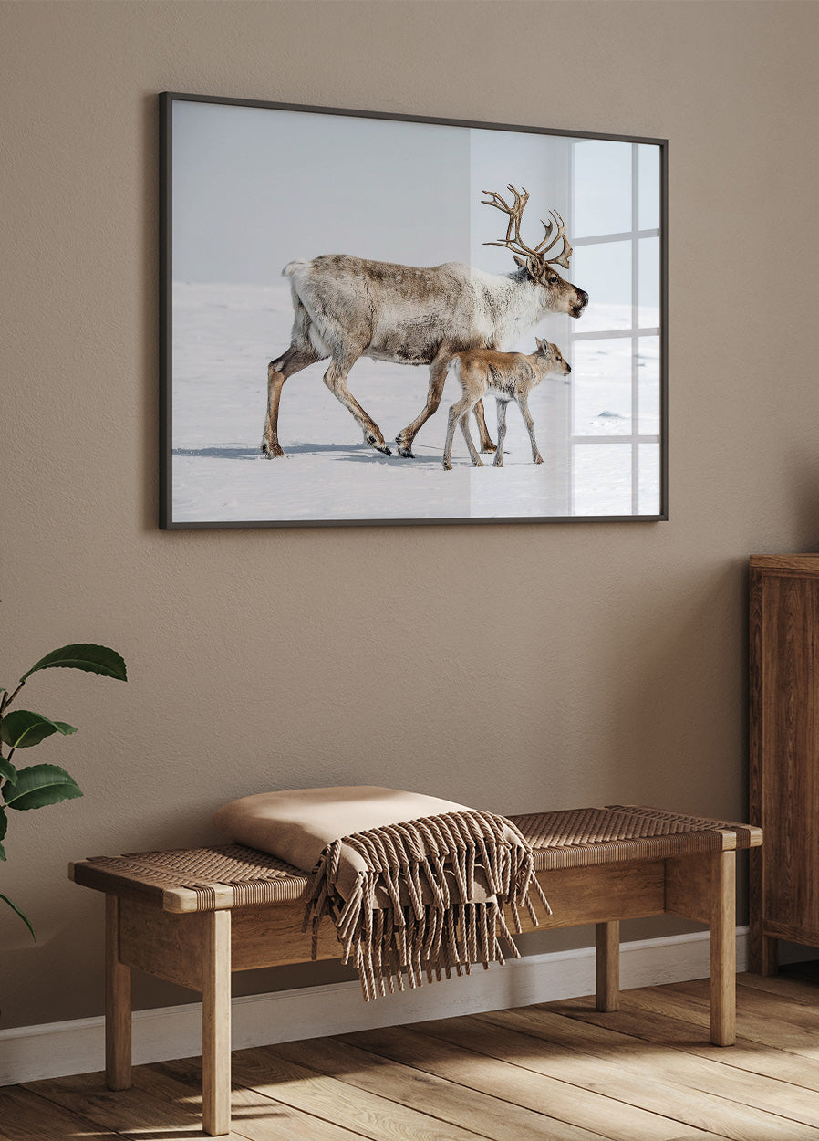 Reindeer and Calf Poster - Posterbox.art