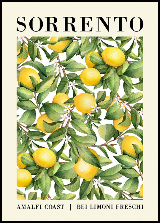 Sorrento Lemon Plakat - Posterbox.no