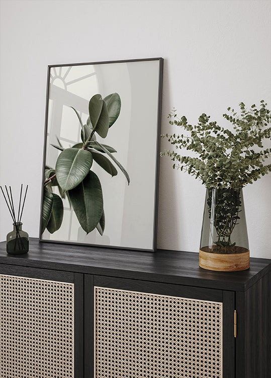 a picture of a plant and a vase on a shelf