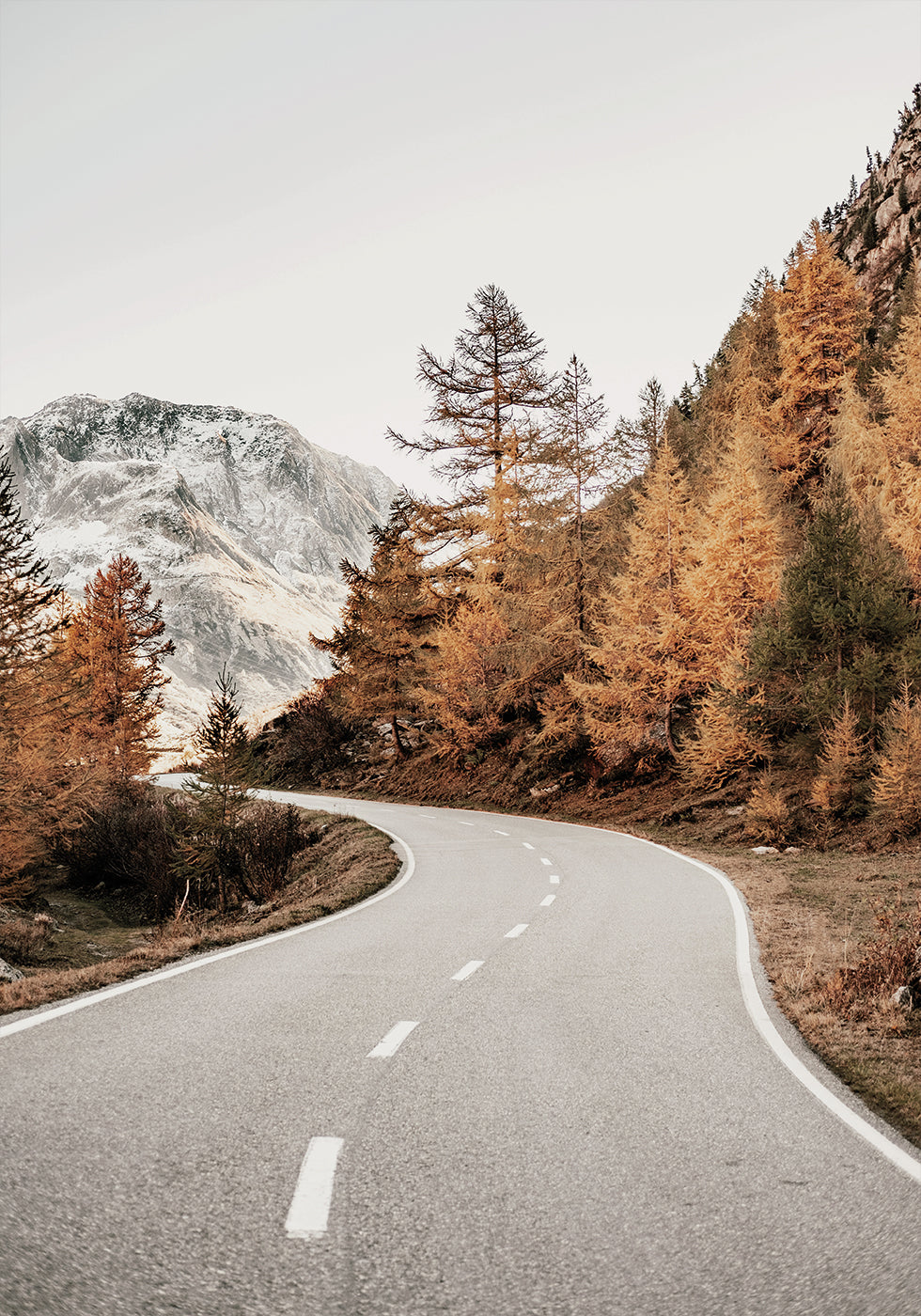 Autumn Road in the Mountains Poster