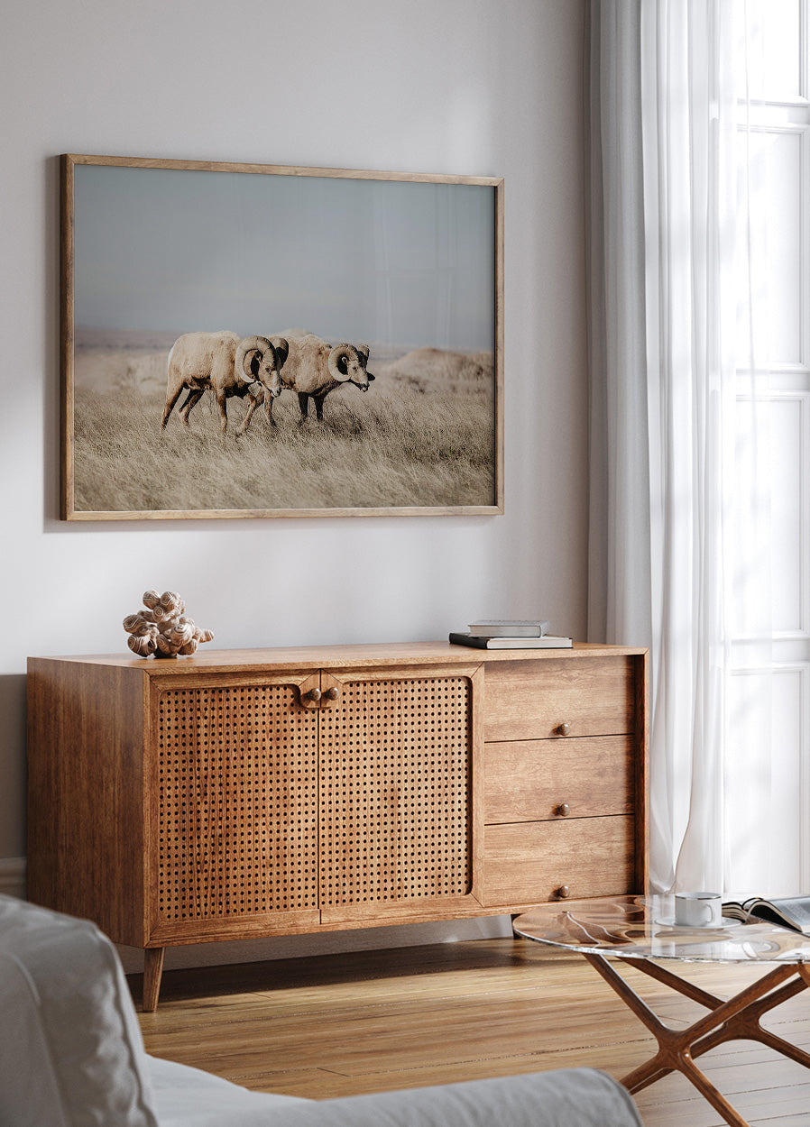 Bighorn Sheep in Nature Poster - Posterbox.art