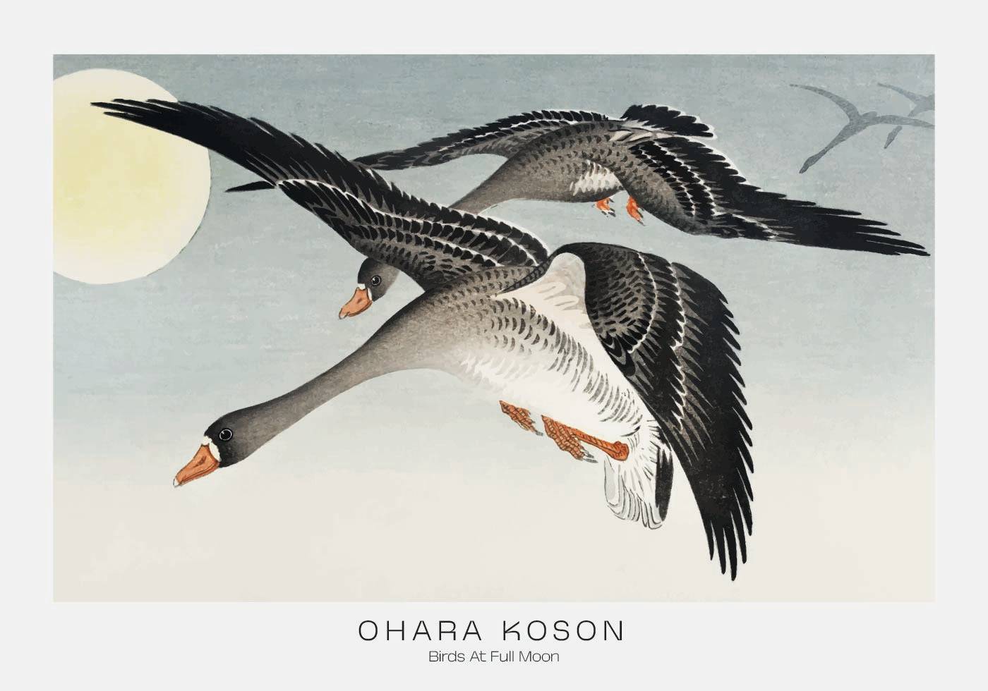 Birds At Full Moon By Ohara Koson Poster