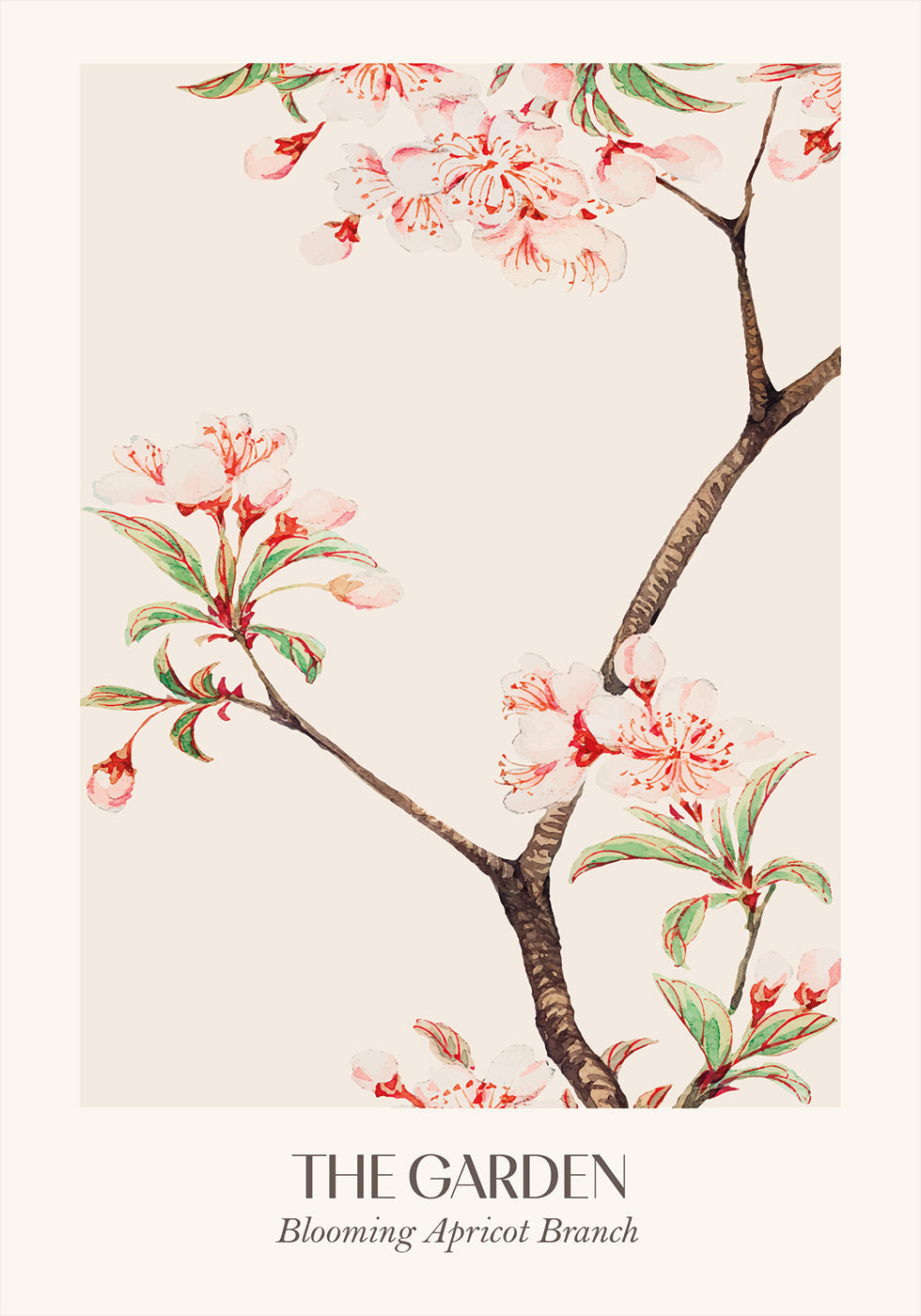 Blooming Apricot Branch Poster - Posterbox.art
