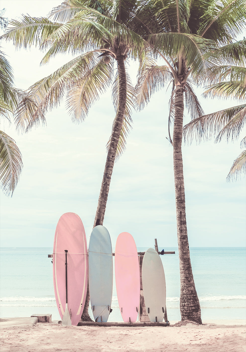 Surfboards Under Palm Trees Poster