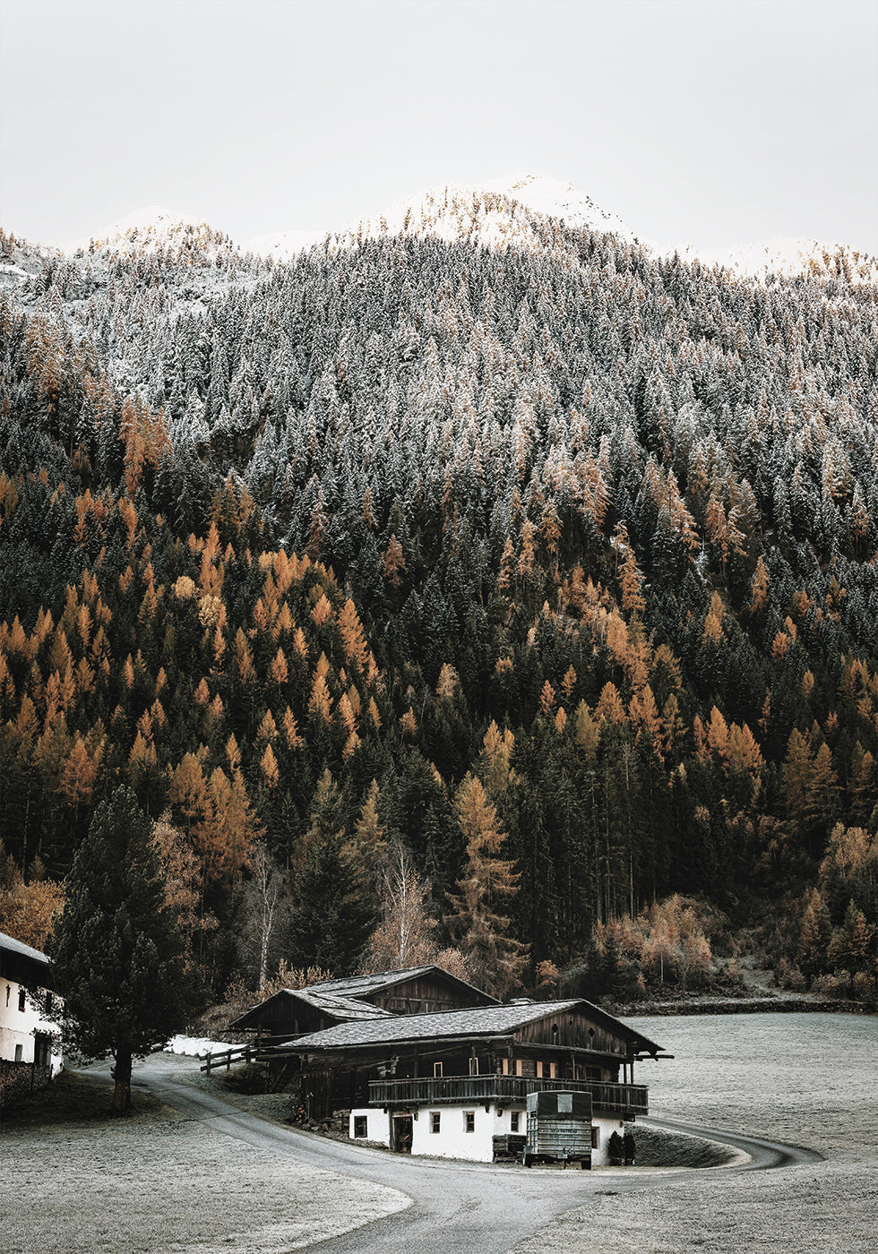 Rustic Houses in the Mountains Poster