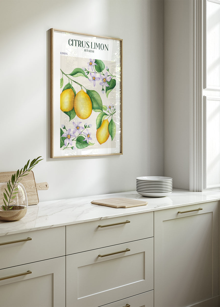 Citrus Limon Poster - Posterbox.art