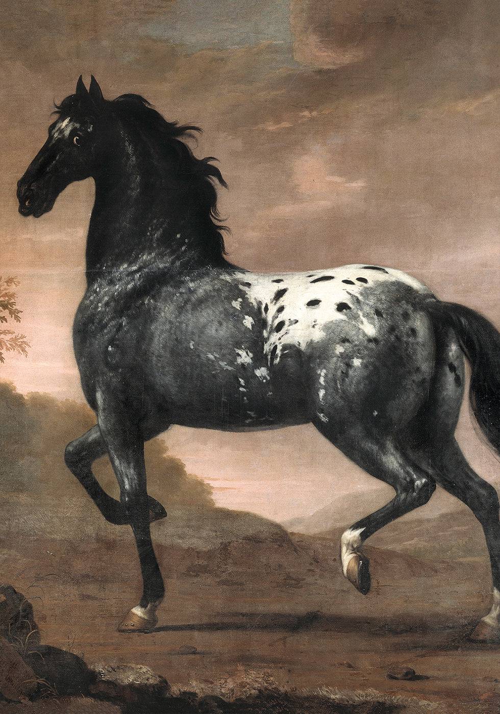 Karl XI's Royal Horse "Blue Tiger Poster