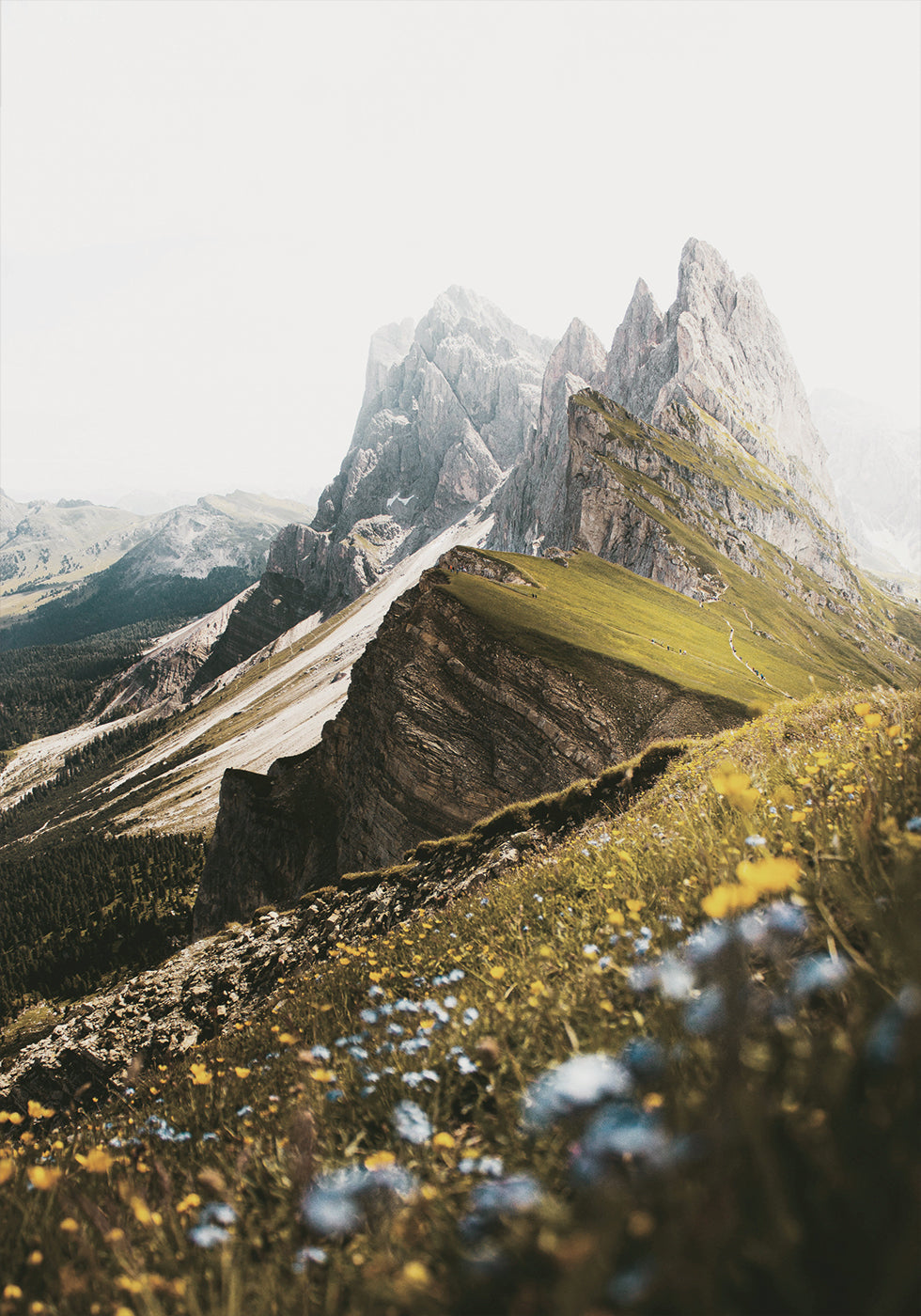 Alpine Blossoms and Peaks Poster