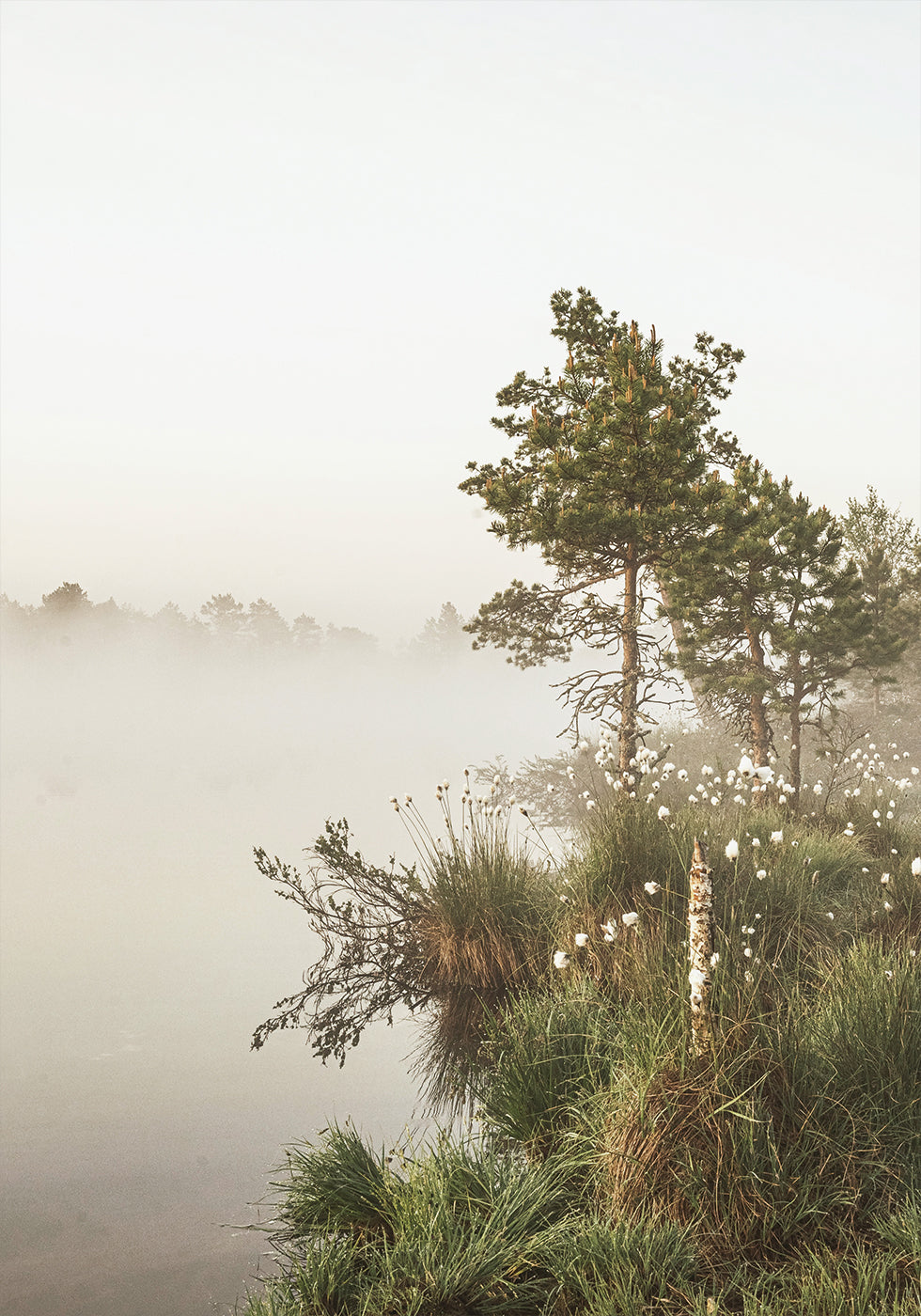 Foggy Summer Morning Poster - Posterbox.art