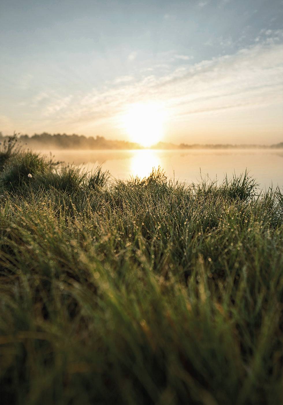 Dewy Dawn by the Lake Poster