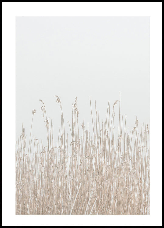 Grass In Fog Poster - Posterbox.art