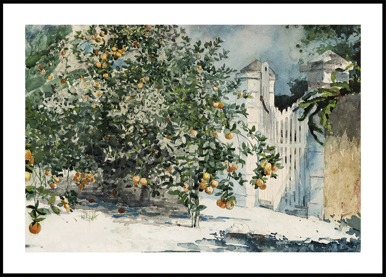 Orange Trees by the Gate Poster