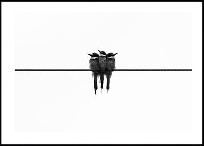 Birds On Wire Poster - Posterbox.art