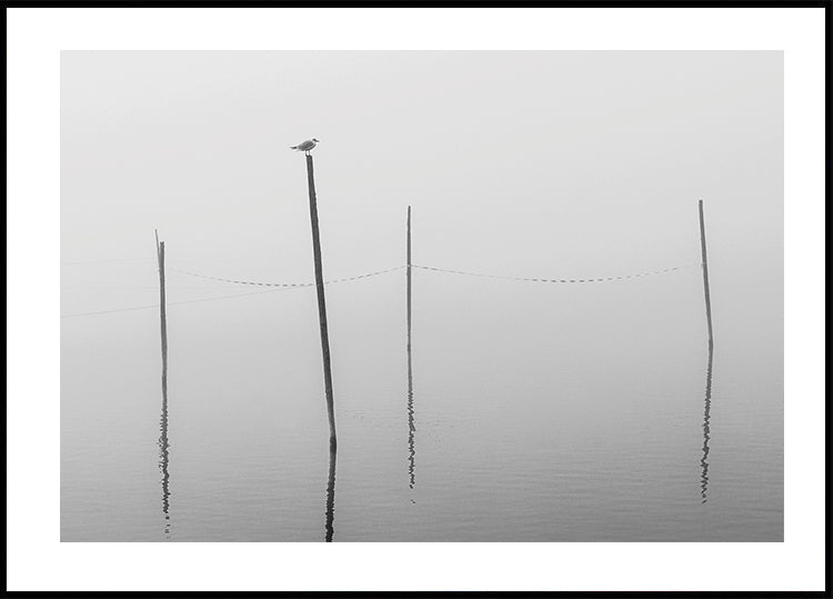 Misty Reflections in Black and White Poster - Posterbox.art