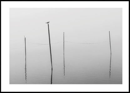 Misty Reflections in Black and White Poster - Posterbox.art