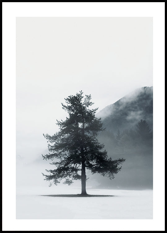 Lone Pine Tree in Foggy Field Poster - Posterbox.art