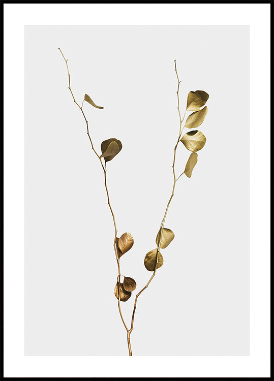 Golden Eucalyptus Branch Poster