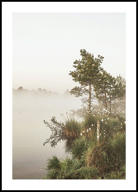 Foggy Summer Morning Poster - Posterbox.art