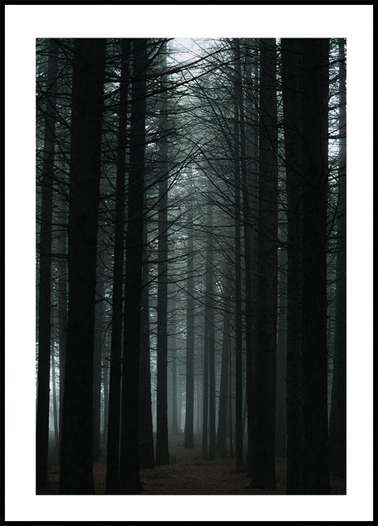 Dark Forest Poster