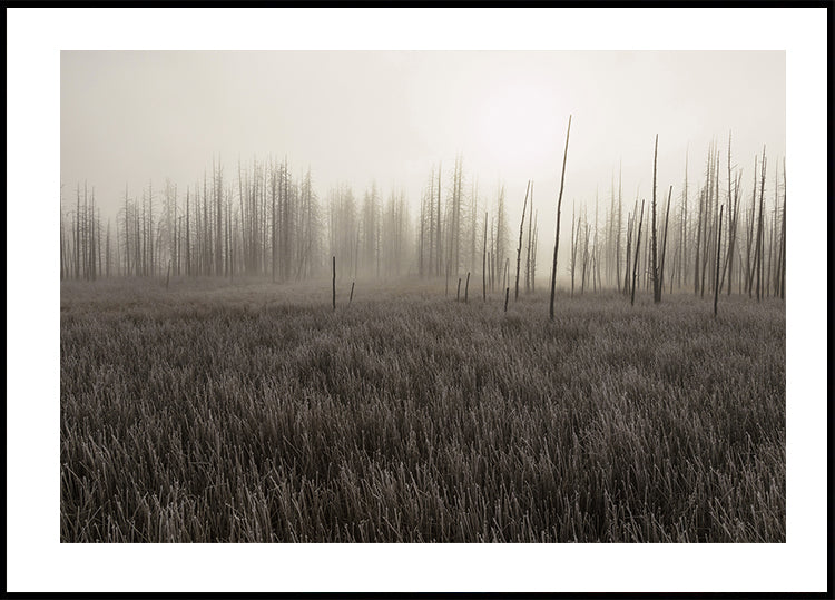 Tangled Creek Poster - Posterbox.art