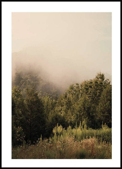 Foggy Forest Poster