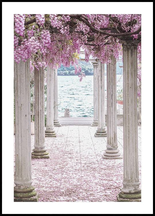 Pillars and Wisteria Flowers Poster