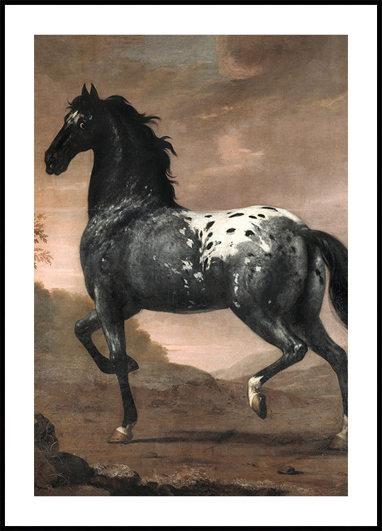 Karl XI's Royal Horse "Blue Tiger Poster