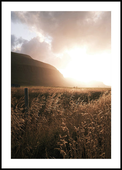 Golden Fields at Dusk Poster