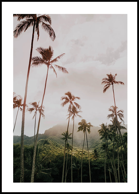 Palms and Mountain Poster