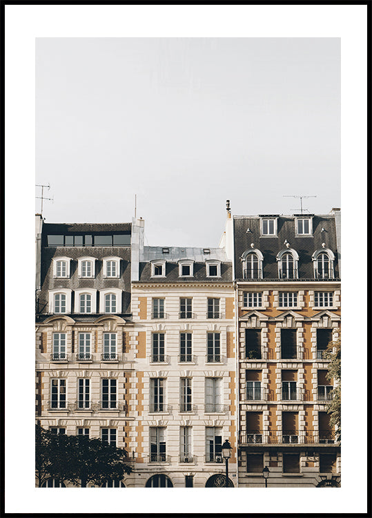 Charming Parisian Architecture Poster