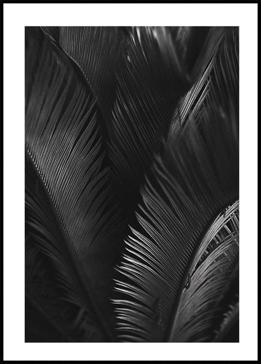 Palm Leaves Poster