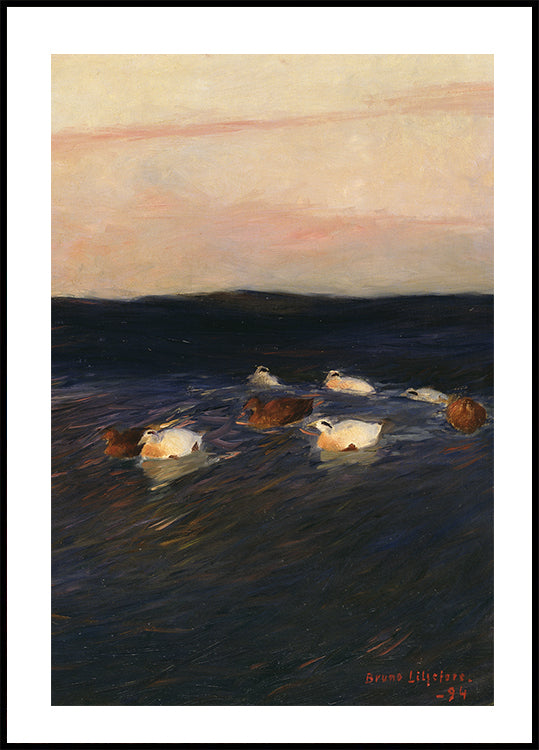 Eider Ducks in Serene Waters Poster - Posterbox.art