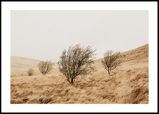 Herfstgrasveld en bomenposter