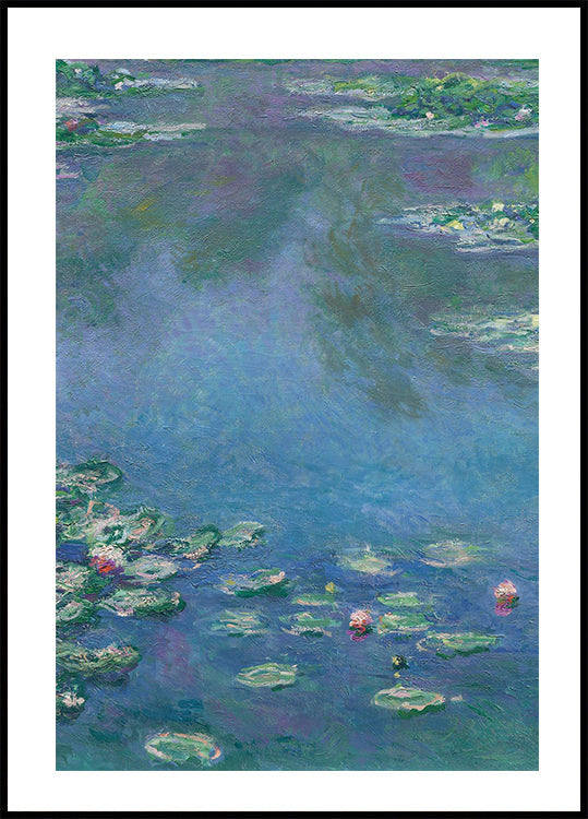 Water Lilies Reflection Poster