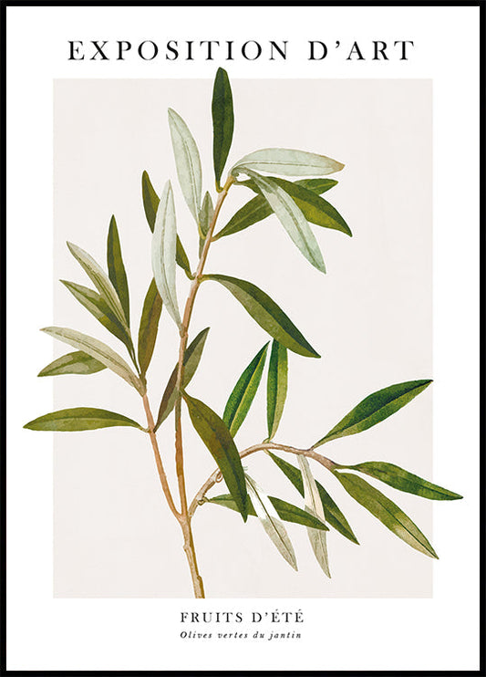 Olive Poster