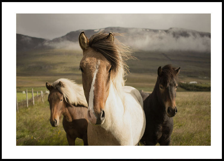 Majestic Horses Poster - Posterbox.art