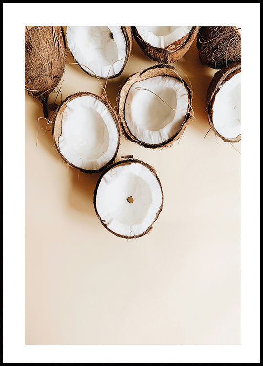 Coconut Poster - Posterbox.art