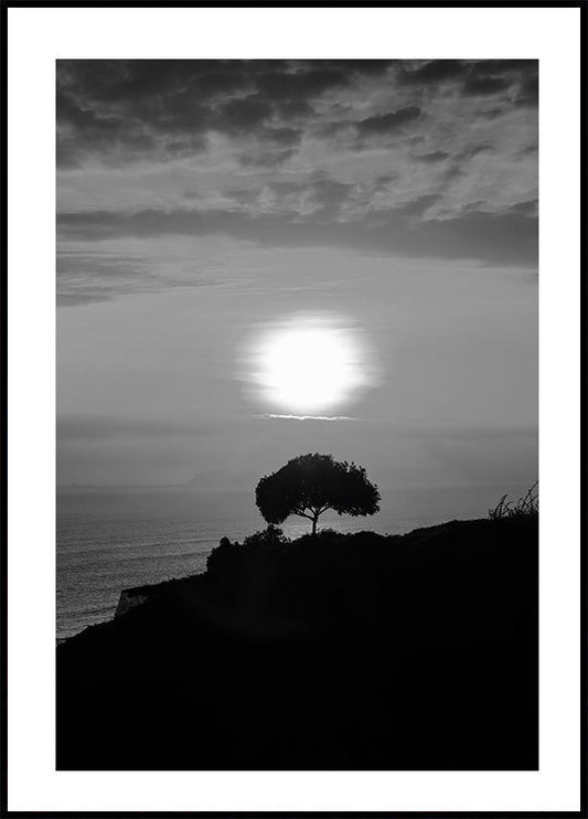 One Tree At Sunset Poster