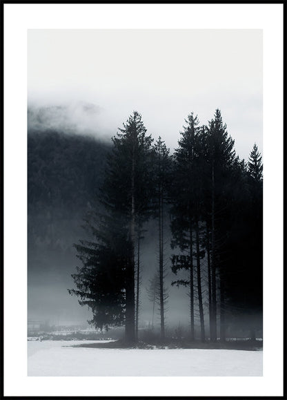 Pine Tree In a Foggy Field Poster - Posterbox.art