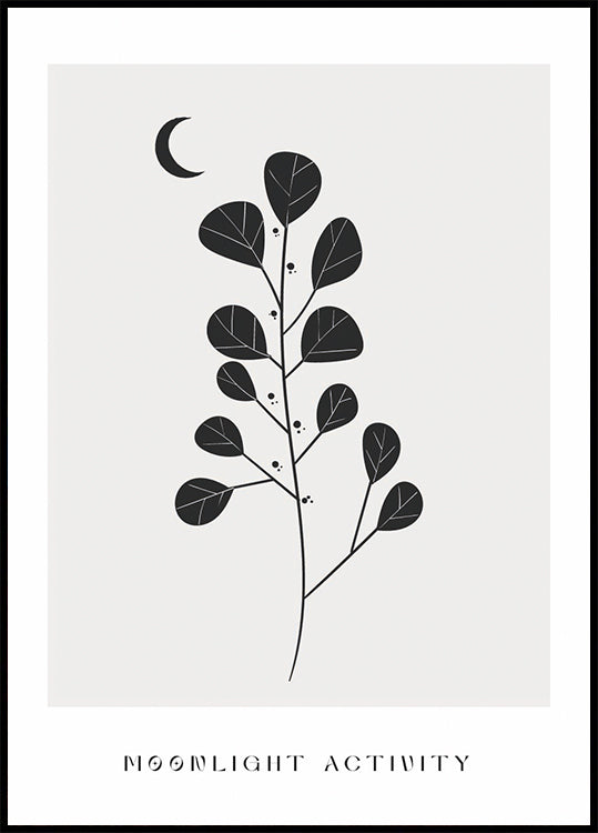 Moonlight Activity No. 3 Poster - Posterbox.art