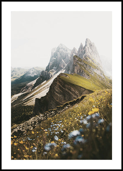 Alpine Blossoms and Peaks Poster