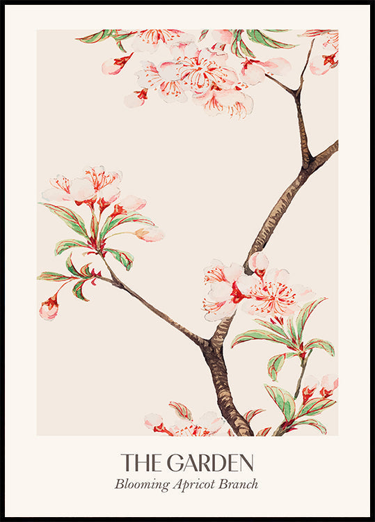 Blooming Apricot Branch Poster - Posterbox.art