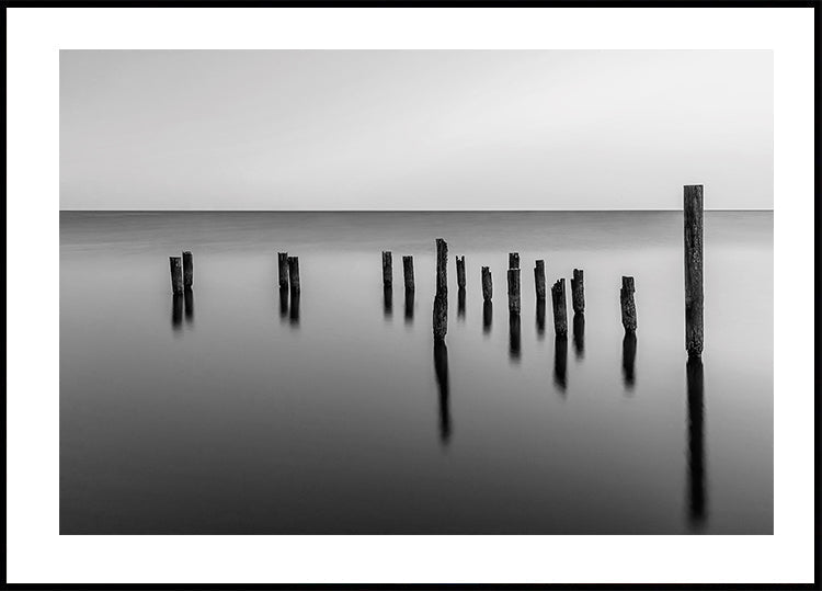 Dock Pilings Poster