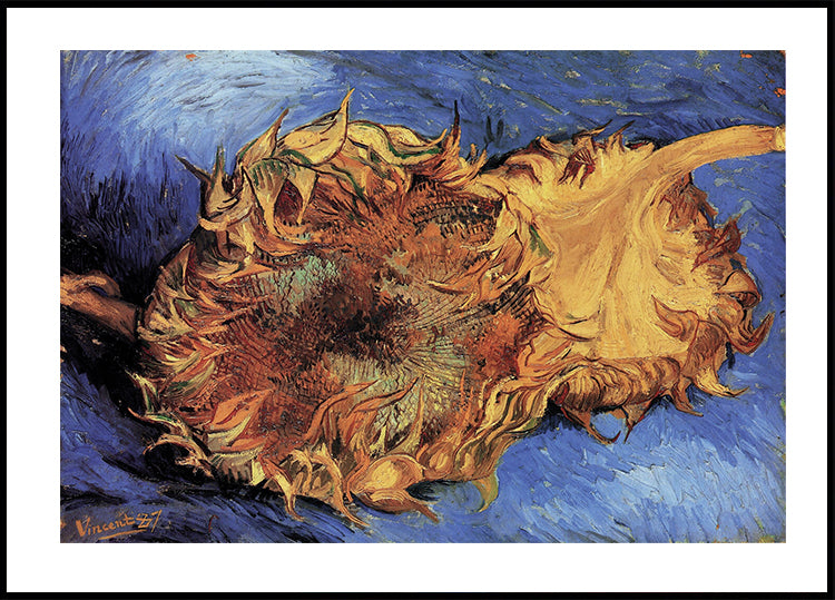 Sunflowers in Dried Beauty Poster - Posterbox.art